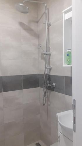 eine Dusche mit Glastür neben einer Toilette in der Unterkunft Komforna Soba U Centru #3 in Mladenovac