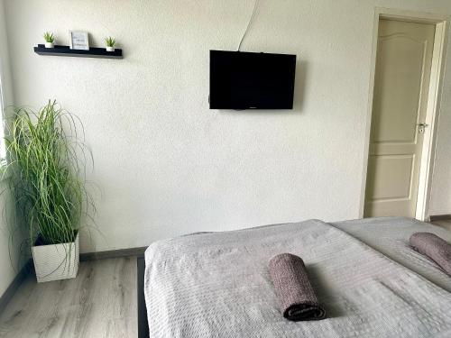 a bedroom with a bed and a tv on a wall at City Apartment in Štúrovo