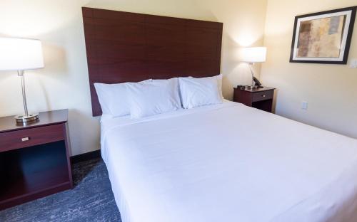 a hotel room with a large bed and two lamps at Cobblestone Inn & Suites - Winters in Winters