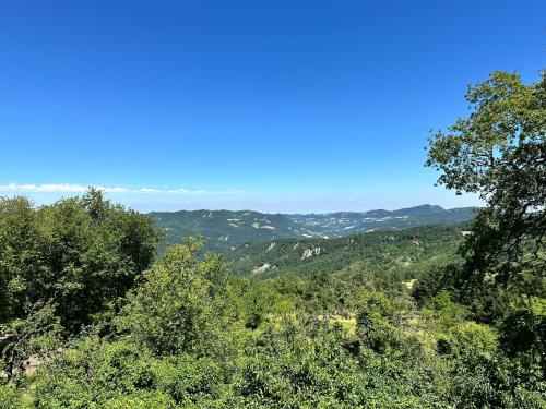a view from the top of a hill with trees at Oasi Acquafresca in Monzuno