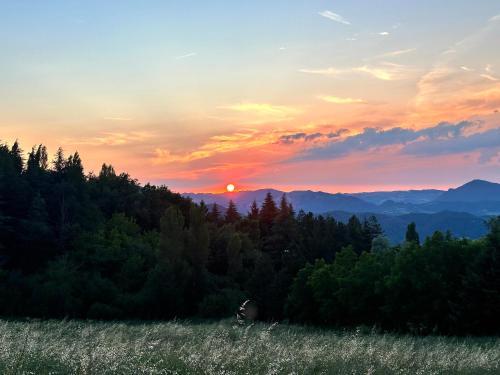 a sunset in the mountains with a field and trees at Oasi Acquafresca in Monzuno