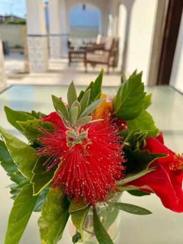 a red flower in a vase on a table at El Riuet-Chalet apartamento a 1 minuto de la playa, Cullera in Cullera