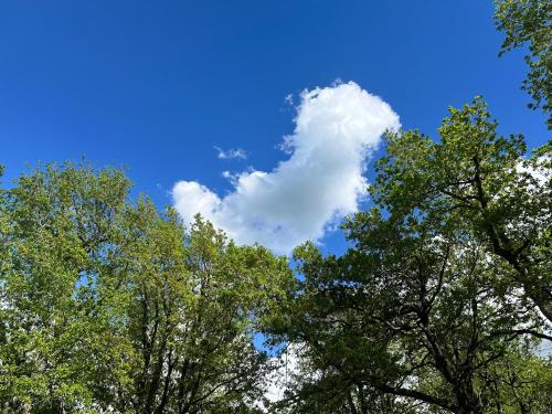 a cloud in the sky above some trees at Oasi Acquafresca in Monzuno