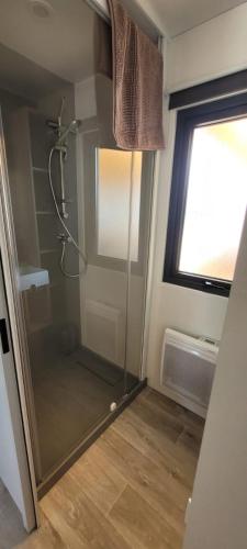 une douche avec une porte vitrée dans une salle de bain dans l'établissement MOBILE-HOME au COEUR des LANDES, à Herm