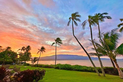 a group of palm trees on the beach with a sunset at Maalaea Banyans 214 in Wailuku