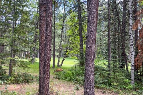 a deer walking through a forest with trees at Haddon Lodge in Black Butte Ranch