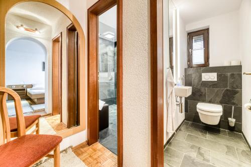 a bathroom with a toilet and a mirror at Gasthaus Hecht in Höchst