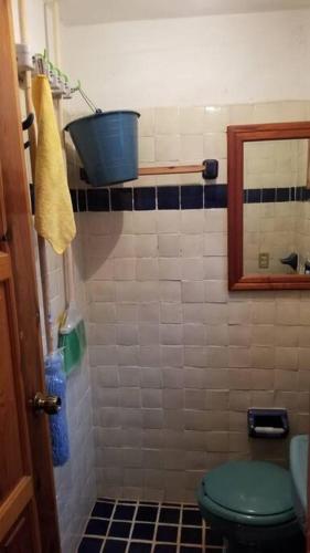 a bathroom with a green toilet and a mirror at Cabaña en Mazamitla #4 Lomas Verdes in Mazamitla