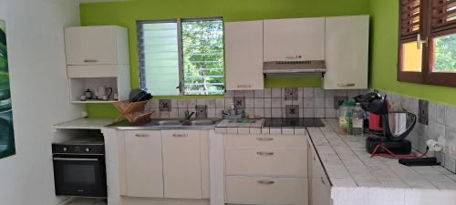 Köök või kööginurk majutusasutuses Maison charmante au Vauclin avec vue sur la montagne
