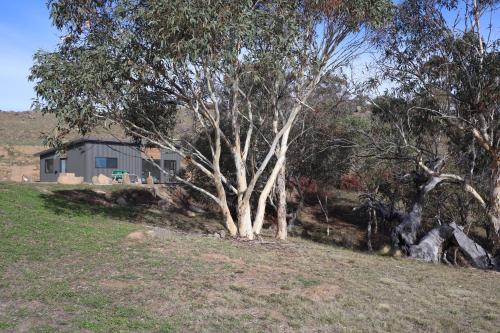 a tree in a field with a house in the background at Hygge Eco Cabins Beautiful New Cabins with Amazing Views in Jindabyne