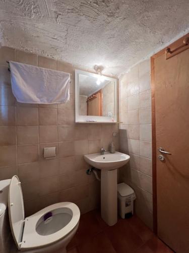 a bathroom with a toilet and a sink and a mirror at Traditional Wooden Apartment in Koutsodímos