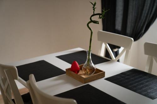 Beautiful Central City Apartment - 2BR, WIFI, Netflix & PS4