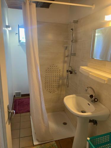une salle de bain blanche avec une douche et un lavabo dans l'établissement Le paradis des châtaigniers, à Najac