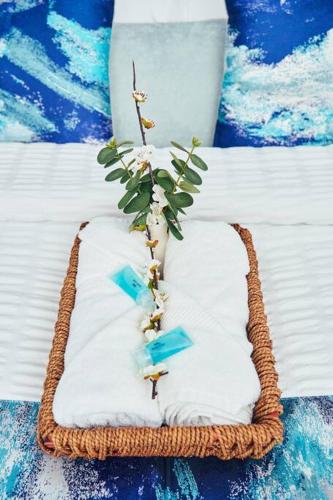 a basket with a plant on top of a pillow at Maroni Oasis in Saint-Laurent du Maroni