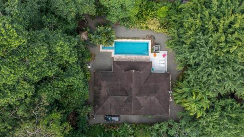 an overhead view of a swimming pool in a forest at Casa Ambar in Puerto Viejo