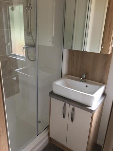 a bathroom with a sink and a shower at Carlisle CAMELOT HOLIDAY PARK CA65SZ Blenheim in Longtown