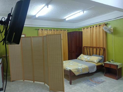Un dormitorio con una cama y un televisor en una habitación. en Urban Oasis Apartment 2, en Castries