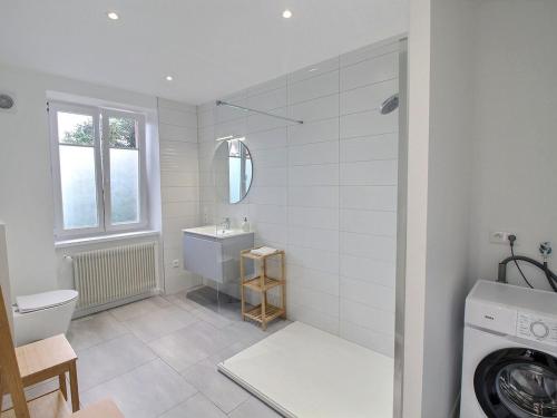 une salle de bain avec un lavabo et une machine à laver dans l'établissement Appartement rénové à Colmar avec jardin et terrasse - FR-1-722-11, à Colmar