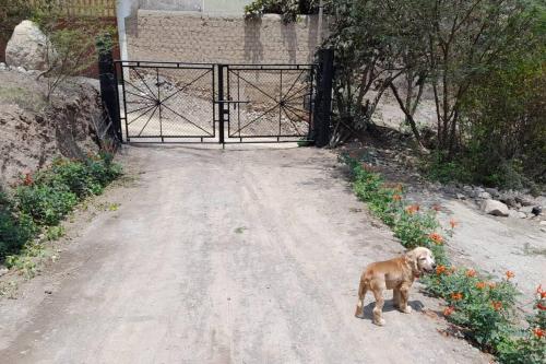 Gambar di galeri bagi Nice country house with pool and beautiful view di Cocachacra