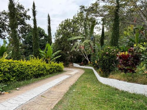 a path in a garden with flowers and trees at Mirador delossueños in Silvania