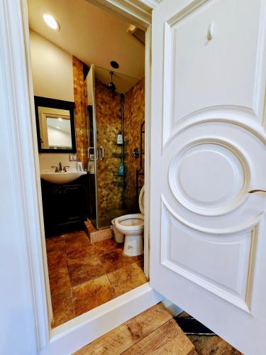 a bathroom with a shower and a toilet and a sink at Luxury Guesthouse in Los Angeles