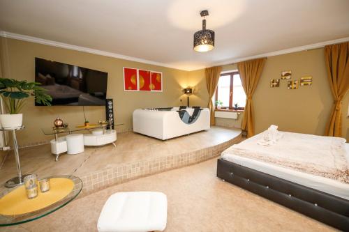 a large bedroom with a bed and a tv at Wellness Hotel Beethoven in Chomutov