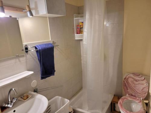 une salle de bain avec une douche, des toilettes et un lavabo dans l'établissement Appartement T2 terrasse centre-ville, à Digne-Les-Bains