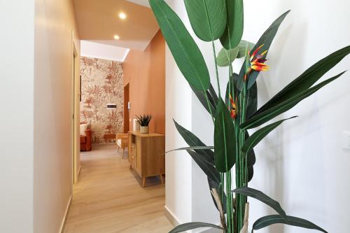 Zelo Apartment by Nosdom Properties