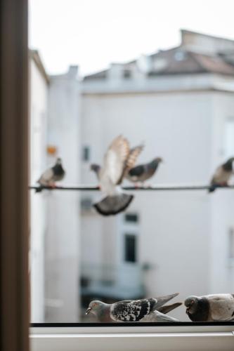 cozinesT eco apartment - calm vibe at Zagreb city center, Artisan neighborhood