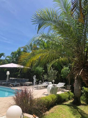 un complexe hôtelier avec piscine et palmiers dans l'établissement Villa Cava, à Baie-Mahault
