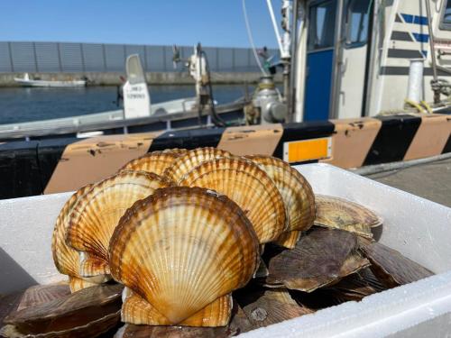 a group of shells sitting in a box on a boat at オホーツクの海の幸が食べられる 漁師の家ゲストハウスOhana in Abashiri
