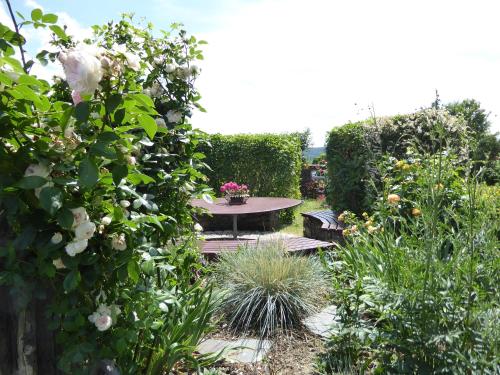 Taman di luar Elferhof Ferienwohnungen
