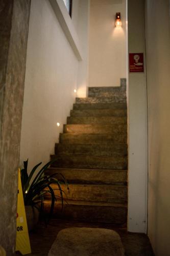 a staircase in a building with a plant in the foreground at Bienvenido Cozy Madiha in Matara