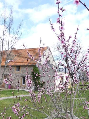 Gallery image of le gite zen in Durdat-Larequille