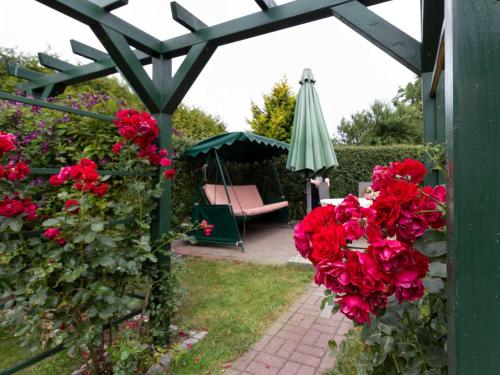 a garden with red roses and a chair and an umbrella at Ferienbungalow Thesenvitz in Thesenvitz