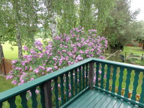 a balcony with a bush of pink flowers at Reetdachhaus "Landhaus Ulrich" in Lubkow