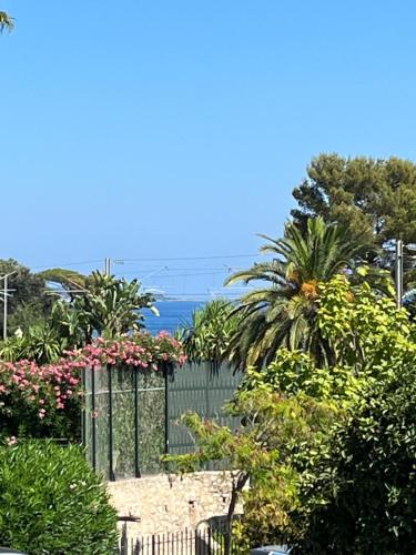 Charming studio in Cannes next to the beach