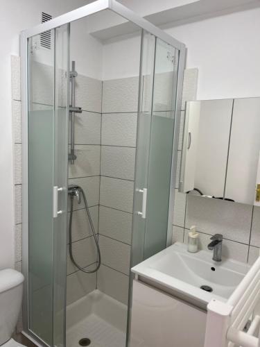 une salle de bain avec douche et lavabo dans l'établissement Charming studio in Cannes next to the beach, à Cannes