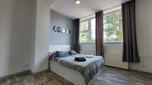 a bedroom with a bed and a window at Apartamenty Parkowe nr 3 in Kwidzyn