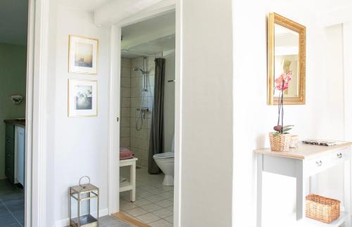 a bathroom with a toilet and a sink and a mirror at Staevnegaarden in Flødstrup