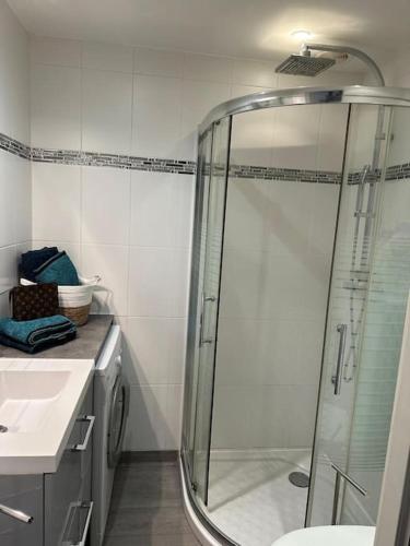une salle de bain avec douche et lavabo dans l'établissement Joli studio Cap d'Antibes, à Antibes