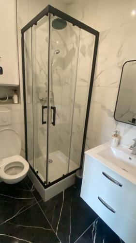 une douche dans une salle de bain avec toilettes et lavabo dans l'établissement Studio Californie beach, à Nice