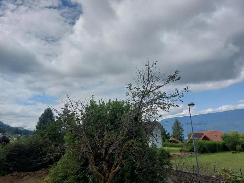 un arbre dans un champ à ciel nuageux dans l'établissement Maison chalet 80 m2 à Trévignin, à Trévignin