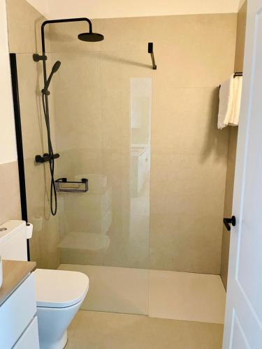 a bathroom with a shower and a toilet at Indiano House Apartments, Muros de Nalón, 5km Cudillero in Muros de Nalón
