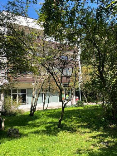 a building in the middle of a yard with trees at Łukaszówki przy Krupówkach in Zakopane