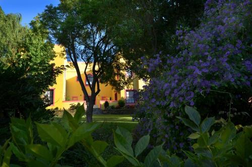 a house seen through the trees with purple flowers at Villa Limonicella in Barrydale