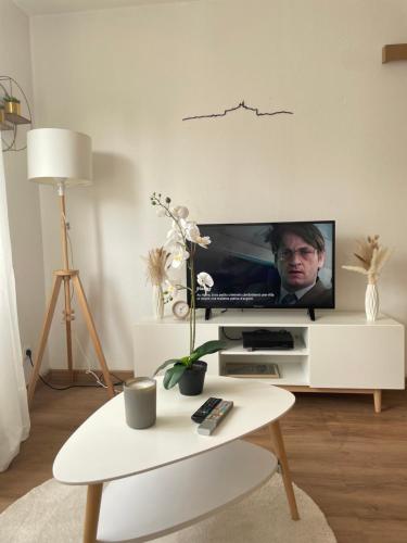 - un salon avec une télévision et une table fleurie dans l'établissement Massilia Mood ,Centre, Stade vélodrome, La Timone, La conception , WIFI GRATUITE, à Marseille
