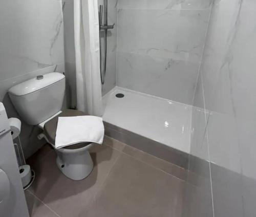une salle de bain blanche avec toilettes et douche dans l'établissement Le Bayard Appartement rénové en centre ville, à Grenoble
