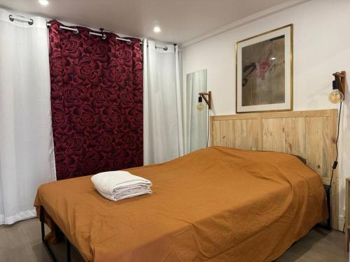 une chambre avec un lit avec un rideau rouge dans l'établissement Le Bayard Appartement rénové en centre ville, à Grenoble