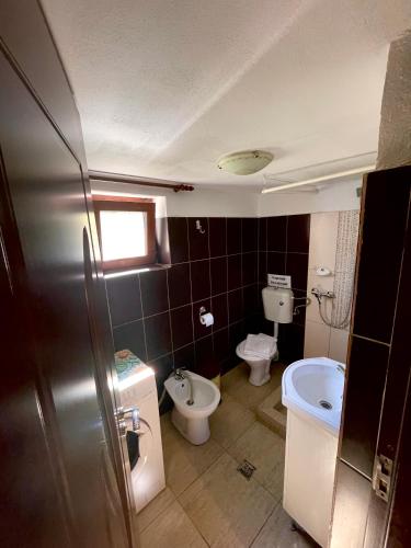 a bathroom with a toilet and a sink at Casa de sub Salcie in Curtea de Argeş